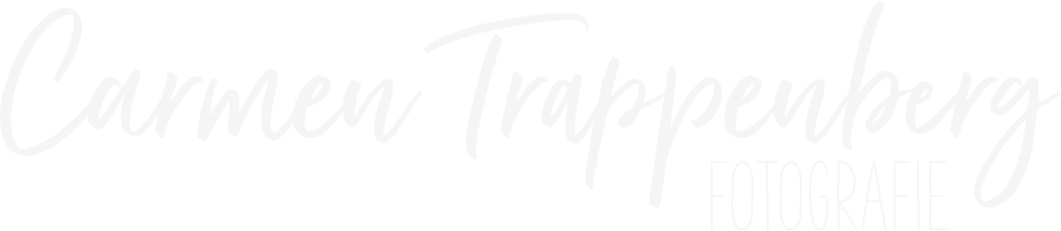 Light logo