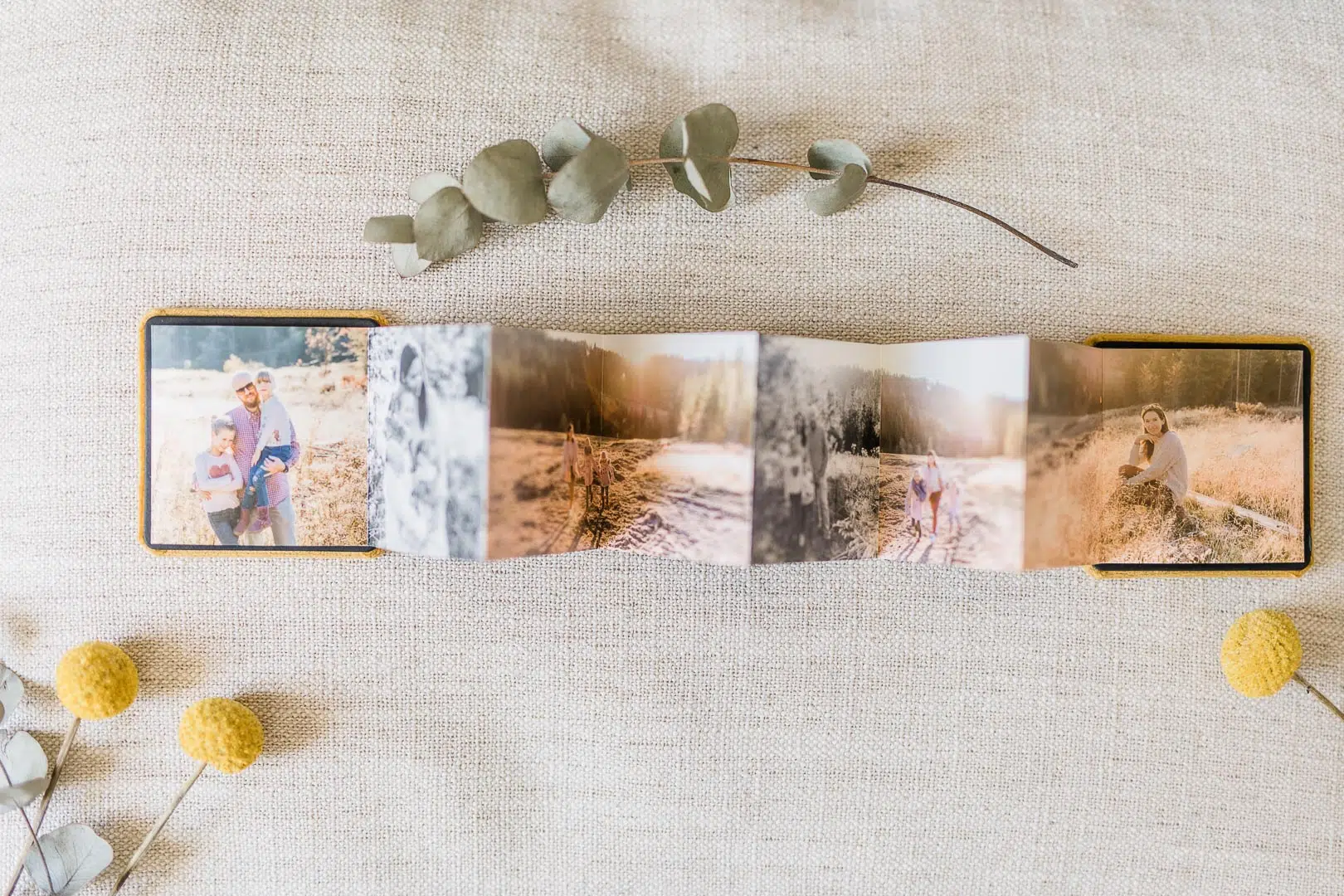 Minileporello mit Bildern einer Familie