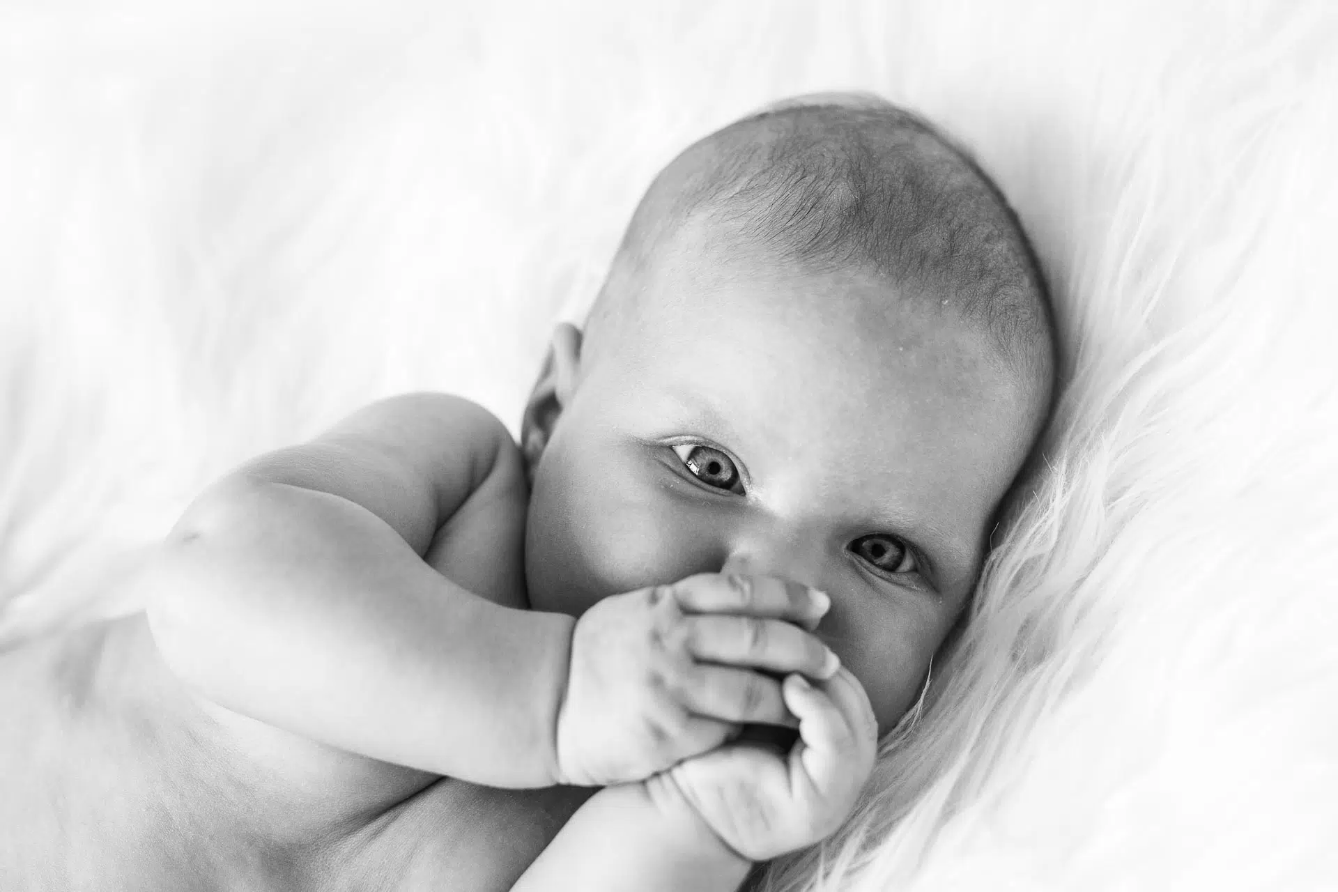 Gutschein-Newbornfotos-Wien - Carmen-Trappenberg-Fotografie-1